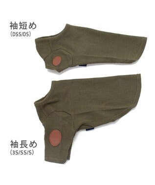 PET PARADISE J.PRESS ワッフル Tシャツ 【小型犬】 カーキ