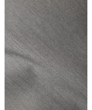 Green Parks ワイドタックパンツ Gray