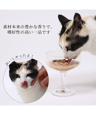 PET PARADISE キャットフード ウェット 缶 まぐろほぐし 75ｇ  《しらす/ 紅鮭/ ほたて》単品 しらす入り