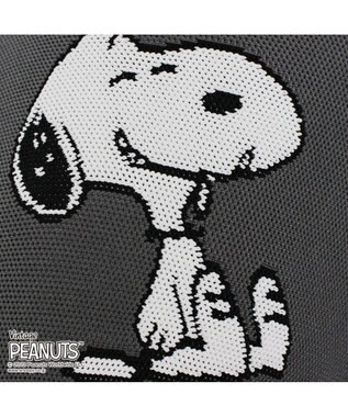 ROOTOTE 8242【スヌーピー：インテリアトート】/ IP.ポーノ.ベビールー.ピーナッツ-6T 01：スヌーピー