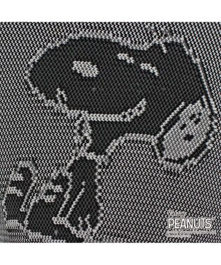 ROOTOTE 8242【スヌーピー：インテリアトート】/ IP.ポーノ.ベビールー.ピーナッツ-6T 01：スヌーピー