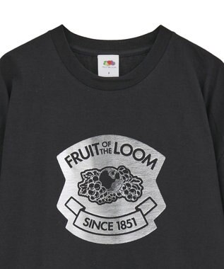 Green Parks ■ＦＲＵＩＴ　ＯＦ　ＴＨＥ　ＬＯＯＭ　箔ロゴｐｔＴＥＥ Black