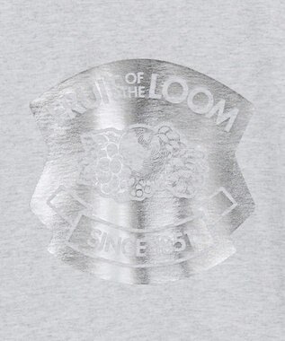 Green Parks ■ＦＲＵＩＴ　ＯＦ　ＴＨＥ　ＬＯＯＭ　箔ロゴｐｔＴＥＥ Gray Mixture