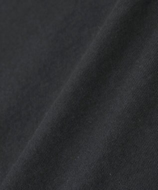 Green Parks ■ＦＲＵＩＴ　ＯＦ　ＴＨＥ　ＬＯＯＭ　箔ロゴｐｔＴＥＥ Black