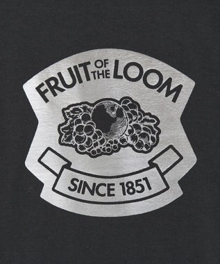 Green Parks ■ＦＲＵＩＴ　ＯＦ　ＴＨＥ　ＬＯＯＭ　箔ロゴｐｔＴＥＥ Black