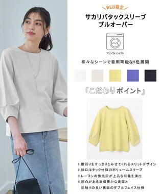 ANY 【WEB限定/洗濯機可/5色展開】サカリバタックスリーブプルオーバー グレージュ