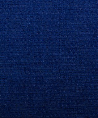 ビーズクッション tetra 高耐久性でペットも安心 tetra LEON（レオン）ビーズクッション　（ミニサイズ） ディープブルー