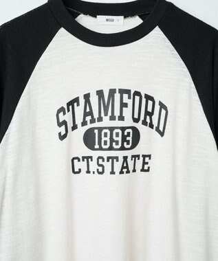 WEGO ヴィンテージロゴラグランLT 柄1