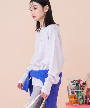 AMERICAN HOLIC 【PENNEY'S】オゾン加工スウェット Gray Mixture