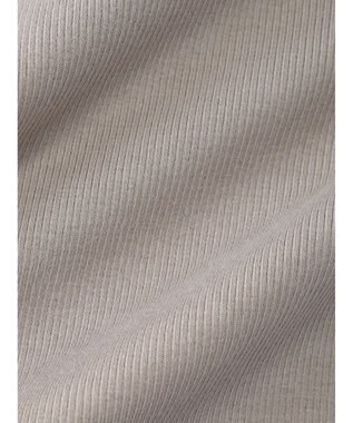 AMERICAN HOLIC 抗菌防臭Ｄａｉｌｙテレコタンクトップ Gray Beige