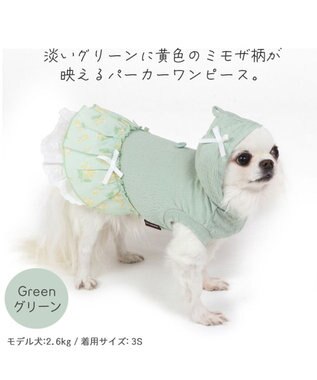 犬の服 犬 ワンピース 【小型犬】 ミモザ ホワイト グリーン / PET