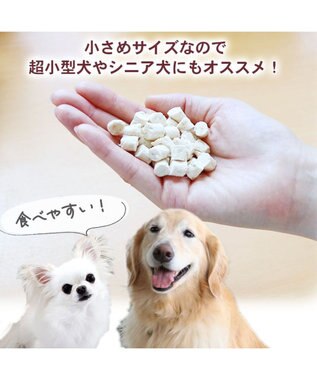 PET PARADISE  スヌーピー 鶏むね肉と軟骨 23g フリーズドライ -