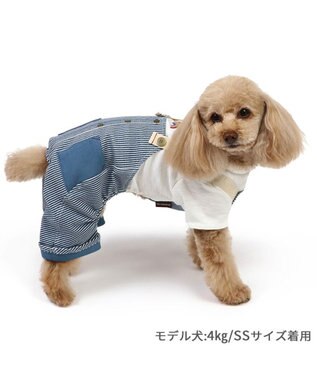 PET PARADISE ペットパラダイス パンツつなぎ 《ヒッコリー風》 小型犬 ヒッコリー風