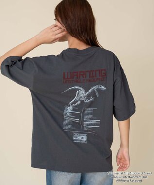 WEGO 【ユニセックス着用ITEM/SMLサイズ展開】JURASSIC　PARKグラフィックT（S） 柄4