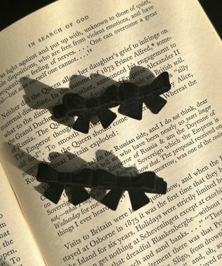 WEGO L2Pwリボンクリップ ブラック