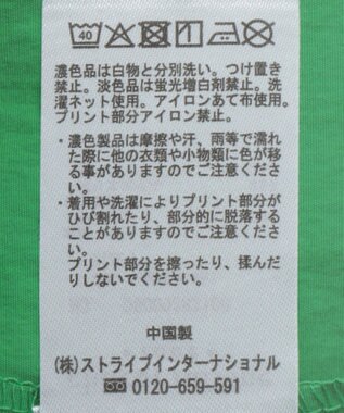 Green Parks ナイロンロゴＶネックプルオーバー Light Khaki