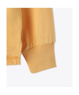 Columbia Columbia/ ウィメンズジプシーバーズロングスリーブクルー /コロンビア Sand Dune