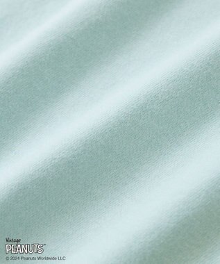 Green Parks ■ＦＲＵＩＴ×ＰＥＡＮＵＴＳ　ロングＴＥＥ Sax