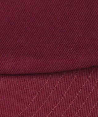 ANY 【POLO BCS別注】キャップ プラム