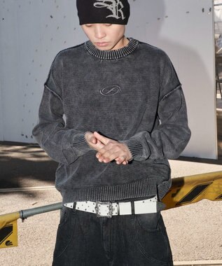 WEGO 【ユニセックス着用ITEM】ピグメントロゴニットプルオーバー