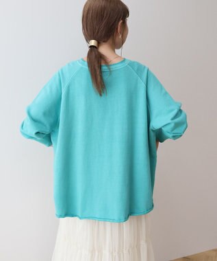 AMERICAN HOLIC ＰＯＲＴＬＡＮＤピグメントスウェット Green