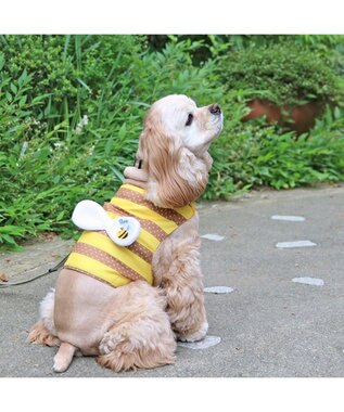 PET PARADISE ペットパラダイス  はちクールベスト 中型犬 ハチ