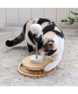 PET PARADISE 猫 木製 コロコロ トイ 茶系