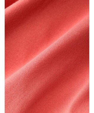 Green Parks ・Ｐｅｔｉｔ　Ｆｌｅｕｒ　スソフリルＴＥＥ Red