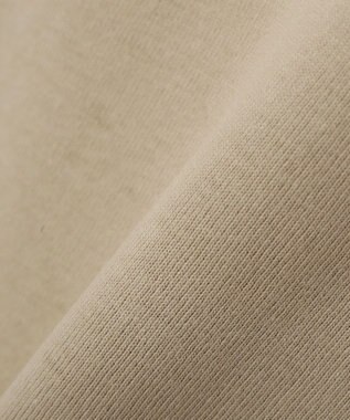 AMERICAN HOLIC STARLY 刺繍ロゴTシャツ Mocha