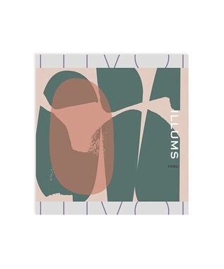 PRESENTERS ROOM ILLUMS(イルムス) ギフトカタログ ＜チボリ＞