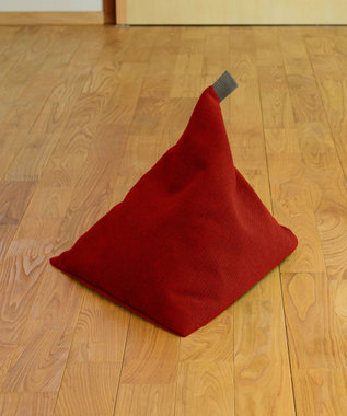 ビーズクッション tetra 高耐久性でペットも安心 tetra LEON（レオン）ビーズクッション　（ミニサイズ）