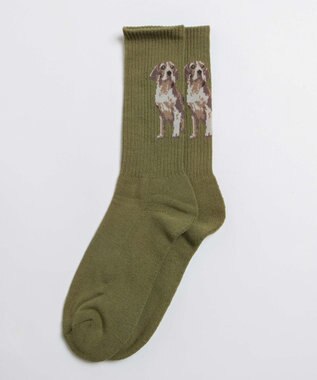 WEGO パターンデザインソックス（R） 柄13