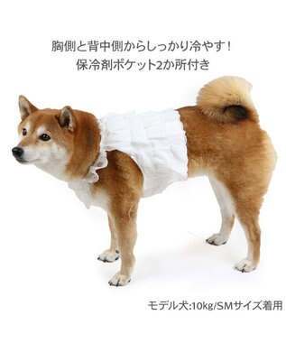 PET PARADISE ペットパラダイス ポケットクール ビスチェ 中型犬 ホワイト