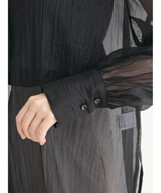 Green Parks ・ＥＬＥＮＣＡＲＥ　ＤＵＥ　２ｗａｙシアーブラウス Black