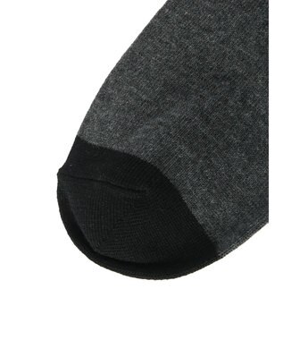 Green Parks ■別注　フルーツオブザルーム　３Ｐバックロゴソックス Mix