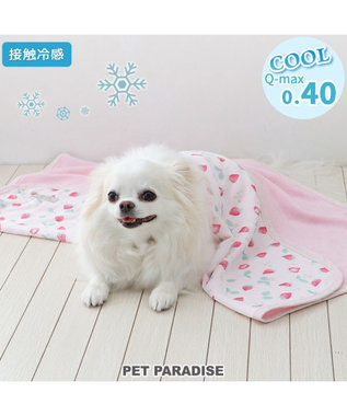 ペットパラダイス クールケット 《苺＆お花柄》 小型犬 / PET PARADISE | ファッション通販 【公式通販】オンワード・クローゼット