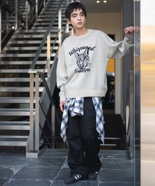 WEGO 【ユニセックス着用ITEM/SMLサイズ展開】ジャガードグラフィックプルオーバー オフホワイト