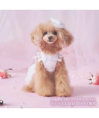 PET PARADISE cherircouture メニ―ローズ ワンピース ホワイト 小型犬 ホワイト