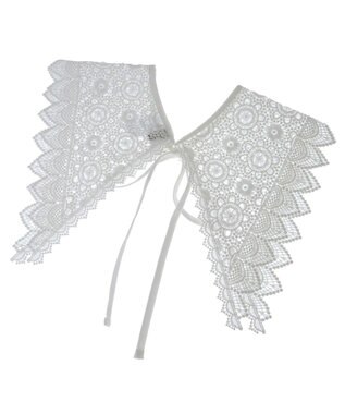 earth music&ecology ケミカルレース付け襟 Ivory