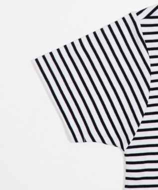 WEGO 【SMLサイズ展開】U.S. POLO ASSN.別注コンパクトTシャツ ホワイトボーダー