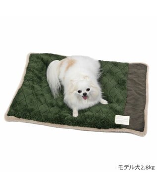 PET PARADISE ペットパラダイス 遠赤外線 マット 《オニオン柄》 角型 80×60cm 小型犬 カーキ