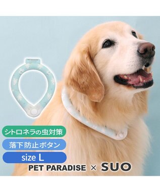 PET PARADISE ペットパラダイス 28℃クールリング SUO 《くま柄》 〔Ｌ〕 大型犬