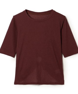 Chacott シアーワッフルハーフスリーブTシャツ ブラウン