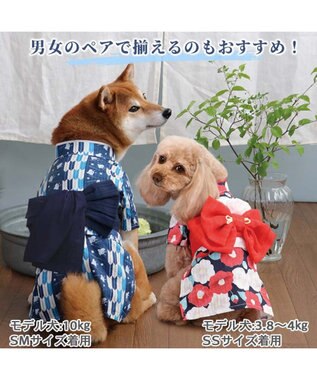 PET PARADISE 浴衣 矢絣柄 兵児帯  【中型犬】 【大型犬】 青
