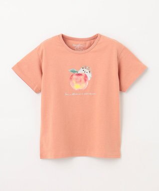 ANY KIDS 水彩風 アニマルプリント Ｔシャツ オレンジ×ハリネズミ