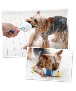 PET PARADISE ディズニー ドナルドダック ぽて トイ ドナルド