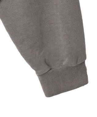 WEGO 【ユニセックス着用ITEM】ピグメントダメージアップリケZIPパーカー グレー