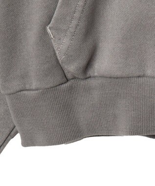 WEGO 【ユニセックス着用ITEM】ピグメントダメージアップリケZIPパーカー グレー