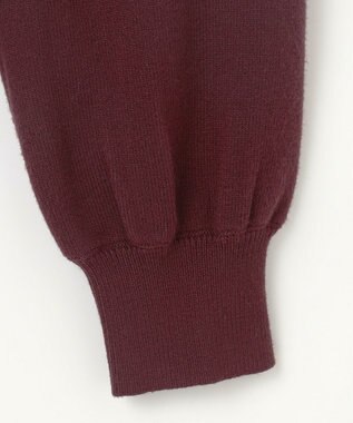 ANY SIS 【洗える】フリルスリーブ ニット ブラウン