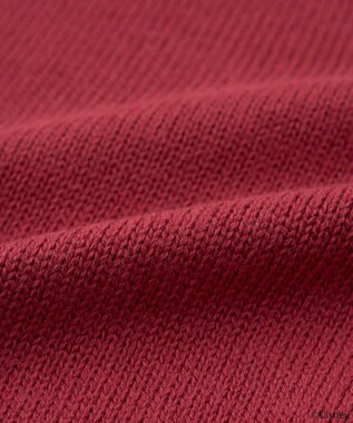 earth music&ecology Ｖｉｌｌａｉｎｓ　クイーン／ニットカーディガン Bordeaux